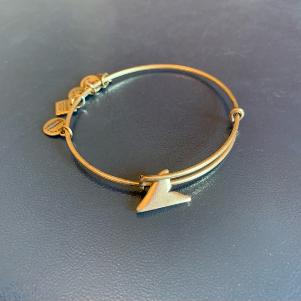 Alex and Ani Shark Tooth bracelet